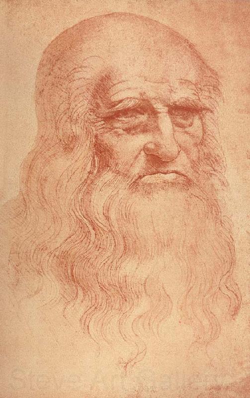 LEONARDO da Vinci Self Portrait